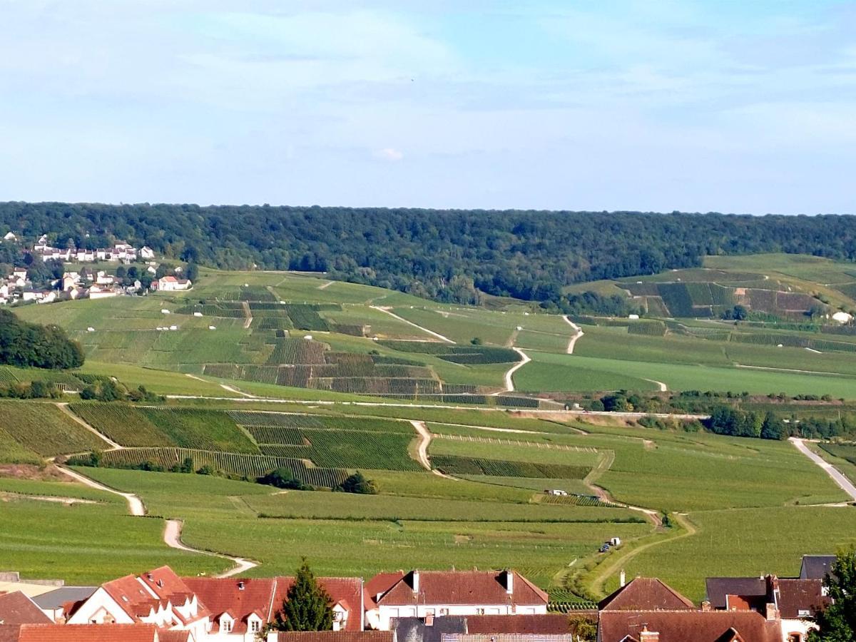 Epernay Capital De Champagne Apartment Exterior foto